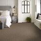 Shaw Basic Mix Carpet in Raw Wood, , large