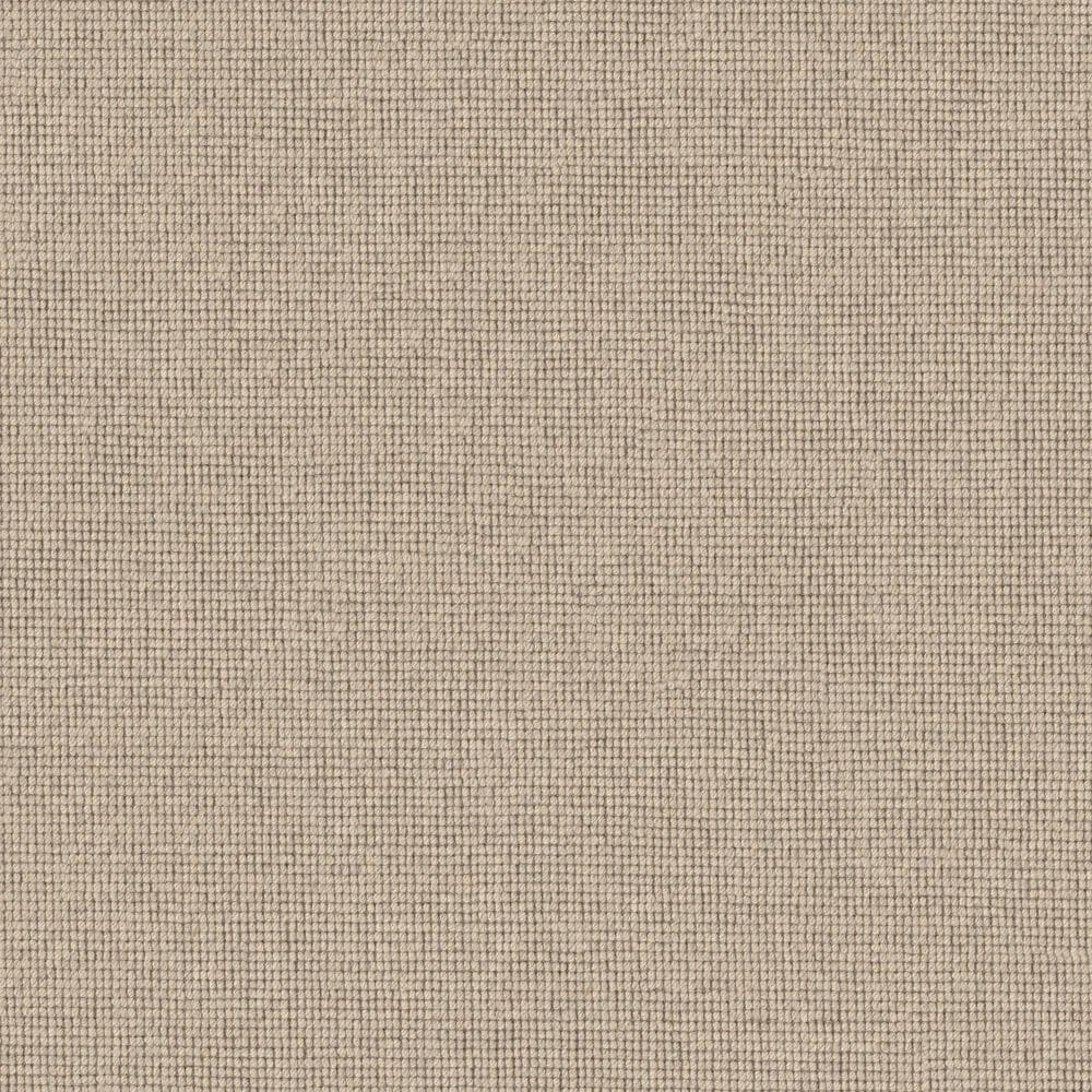 Anderson Tuftex Touchstone Carpet in Starlight, , large