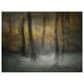 Timberlake Nel Talen "Dancing Trees" 35" x 47" Canvas Art in Brown/Grey/Black, , large