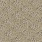Shaw Midland Charm Carpet in Boutique, , large