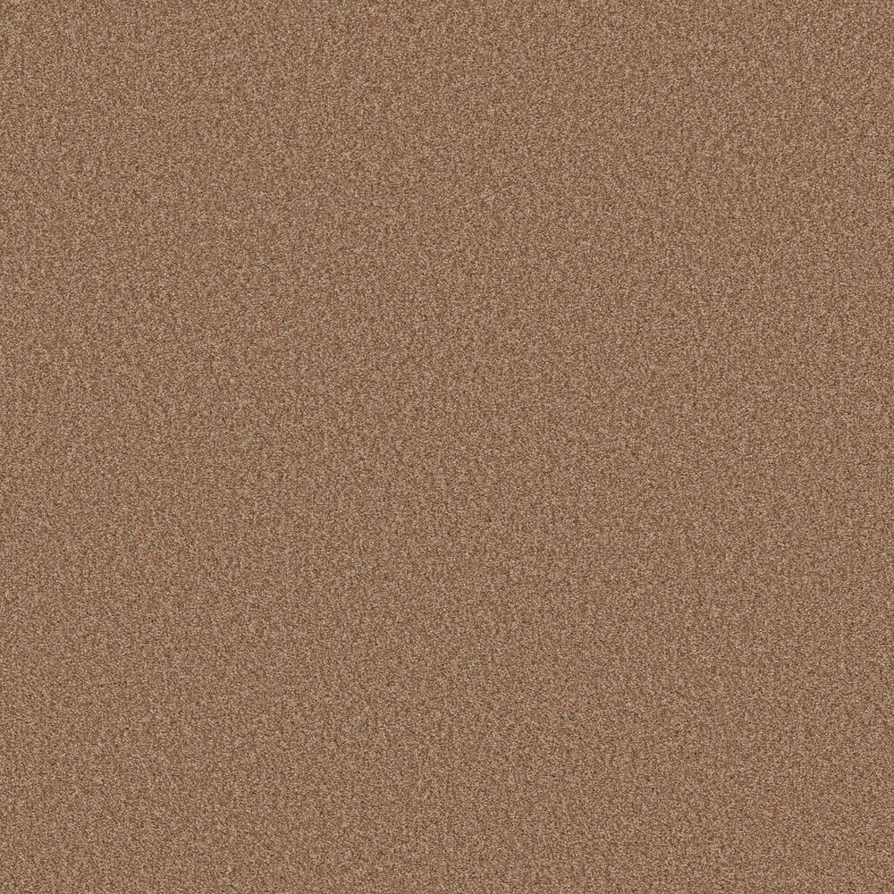 Shaw Tonal Comfort Ii Carpet in Terracotta Pot, , large