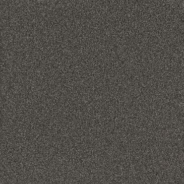 Dream Weaver No Limits II Carpet in Magnetic, , large