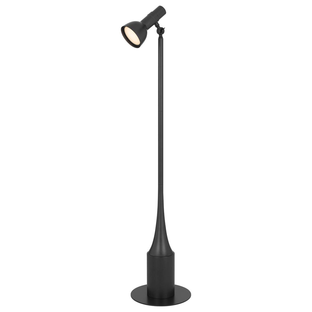 Cal Lighting Allanson Floor Lamp in Charcoal Grey, , large