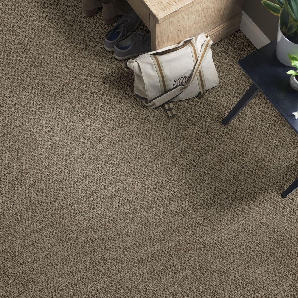 Anderson Tuftex Cabo Cove Carpet in Shingle, , large