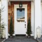 Timberlake 5" Artificial Cedar Topiary Tree with Pot in Green, , large