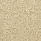 Masland Classical Carpet in Vibrato, , large