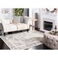 Safavieh Skyler SKY126K 10" x 14" Grey and Ivory Area Rug, , large