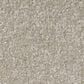 Shaw Luxuriant Carpet in Smoke Signal, , large