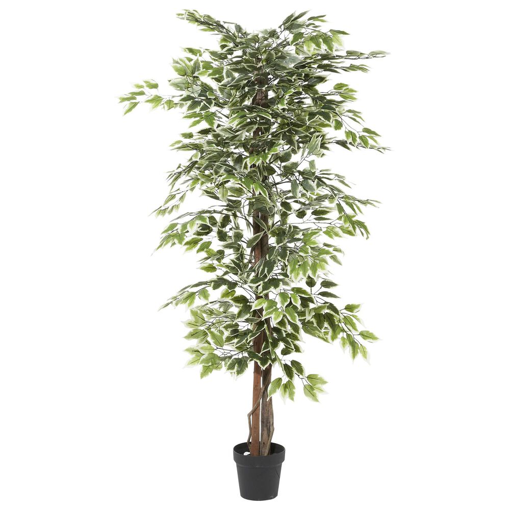 Maple and Jade Indoor/Outdoor Tall Artificial Ficus with Black Plastic Pot in Green and Brown, , large