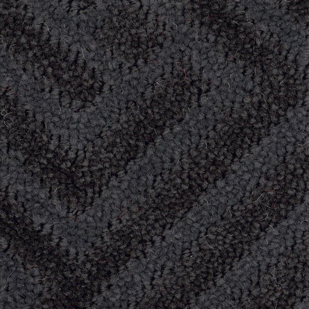 Anderson Tuftex Artifact Carpet in Blackjack, , large