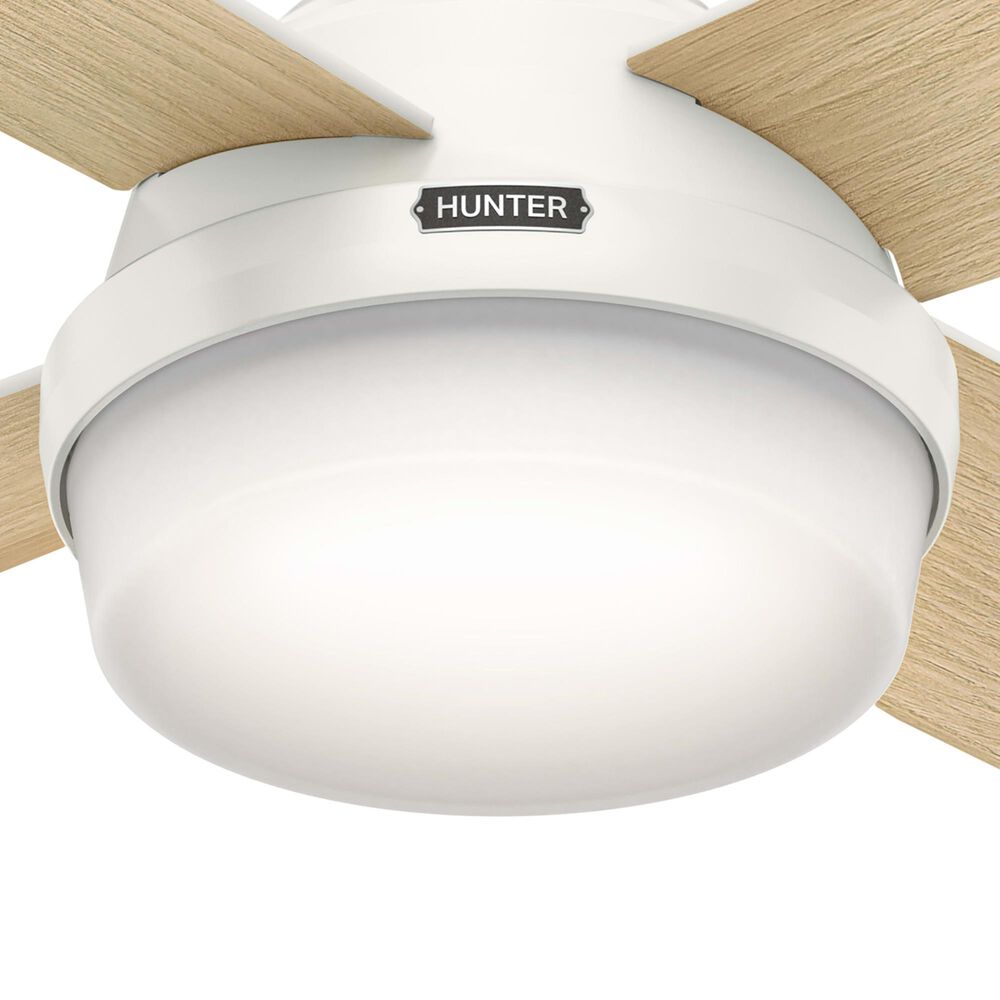 Hunter Dempsey 52&quot; Ceiling Fan with Lights in Fresh White, , large