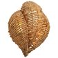 Jamie Young Direct Ship Elmont 1-Light Wood Beaded Wall Sconce in Natural, , large