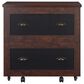 Furniture of America Phillips 2-Drawer File Cabinet in Vintage Walnut, , large