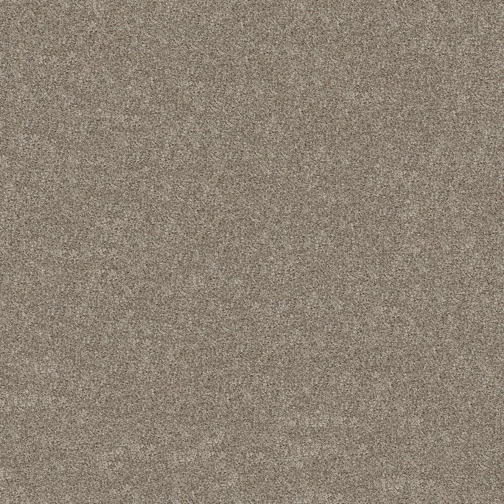 Shaw Grand Outlook Carpet in Cameo, , large
