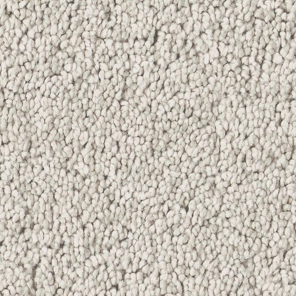 Philadelphia Champagne Taste II Carpet in Frozen, , large