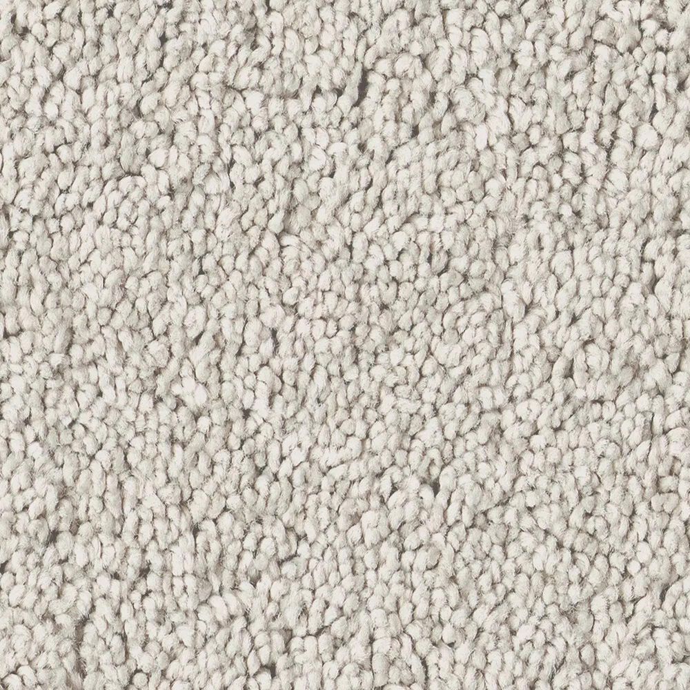Philadelphia Champagne Taste II Carpet in Frozen, , large