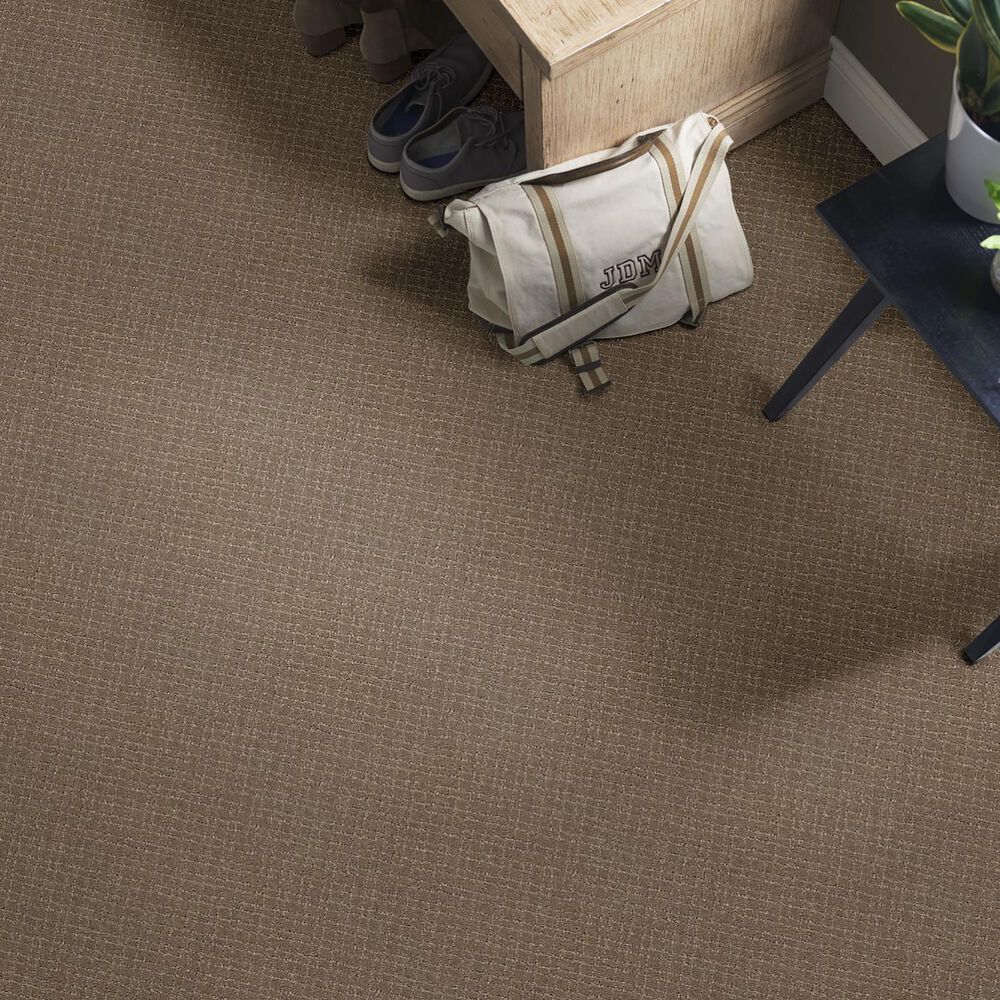 Anderson Tuftex Recital Carpet in Rockport, , large