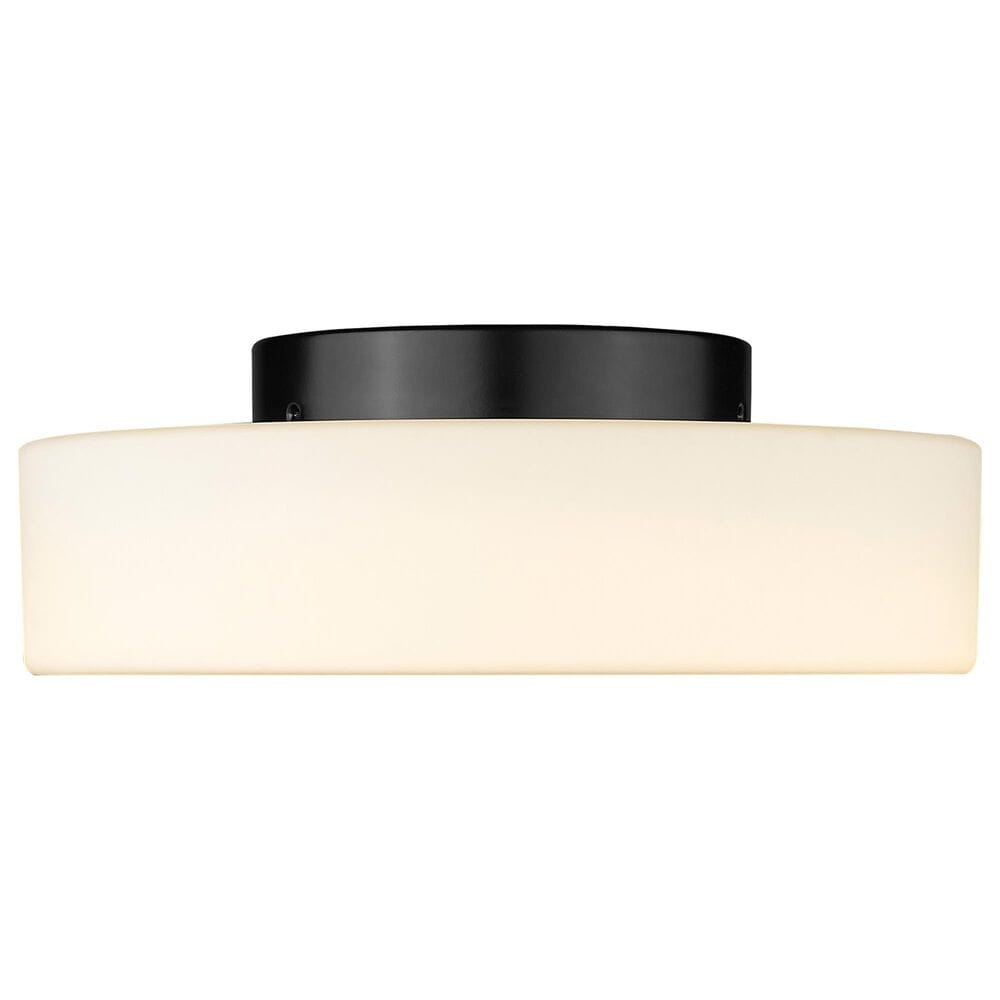 Golden Lighting Toli 1-Light Flush Mount in Matte Black, , large