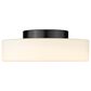 Golden Lighting Toli 1-Light Flush Mount in Matte Black, , large