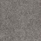 Anderson Tuftex Barracan Classic IV Carpet in Chinchilla, , large
