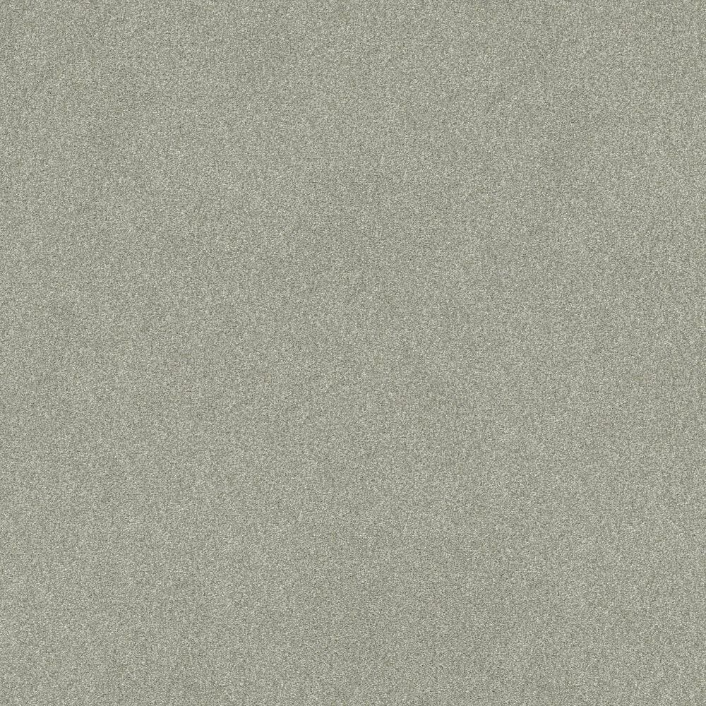 Shaw Tonal Comfort Ii Carpet in Willow Tree, , large