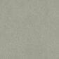 Shaw Tonal Comfort Ii Carpet in Willow Tree, , large