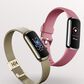 Fitbit Luxe Tracker with Orchid Band in Platinum Stainless Steel, , large