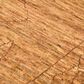 Amer Rugs Anna 2" x 3" Rust and Orange Area Rug, , large