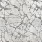 Kane Latest Carpet in Whitestone, , large