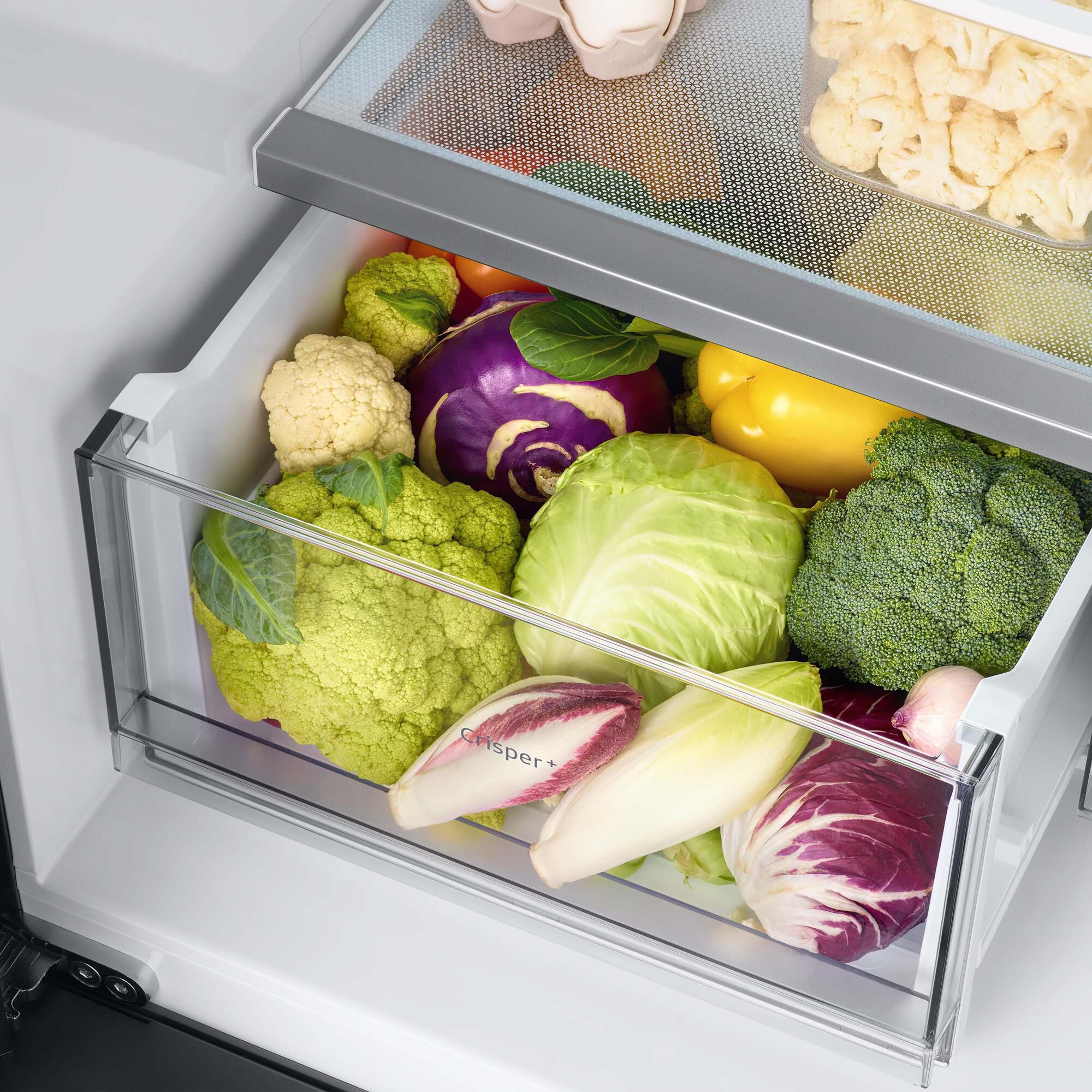 Fridge with built in pitcher on sale