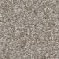 Shaw You Got This III Carpet in Chic Greige, , large