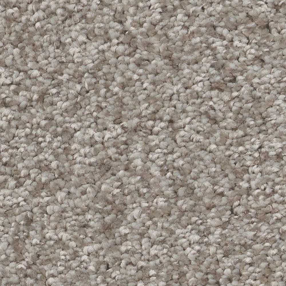 Shaw You Got This III Carpet in Chic Greige, , large