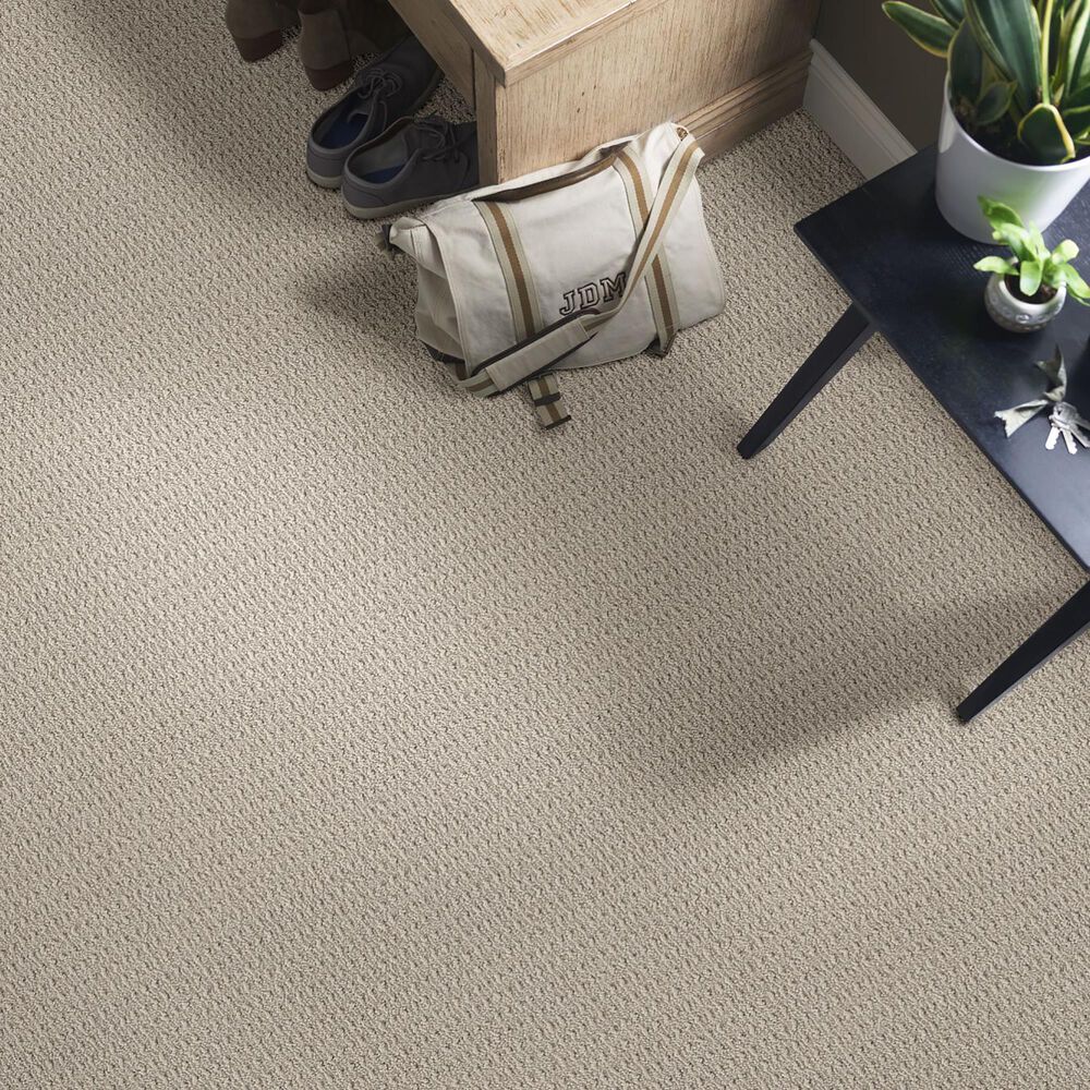 Anderson Tuftex Truly Delightful Carpet in Hint of Gray, , large