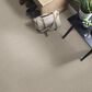 Anderson Tuftex Truly Delightful Carpet in Hint of Gray, , large