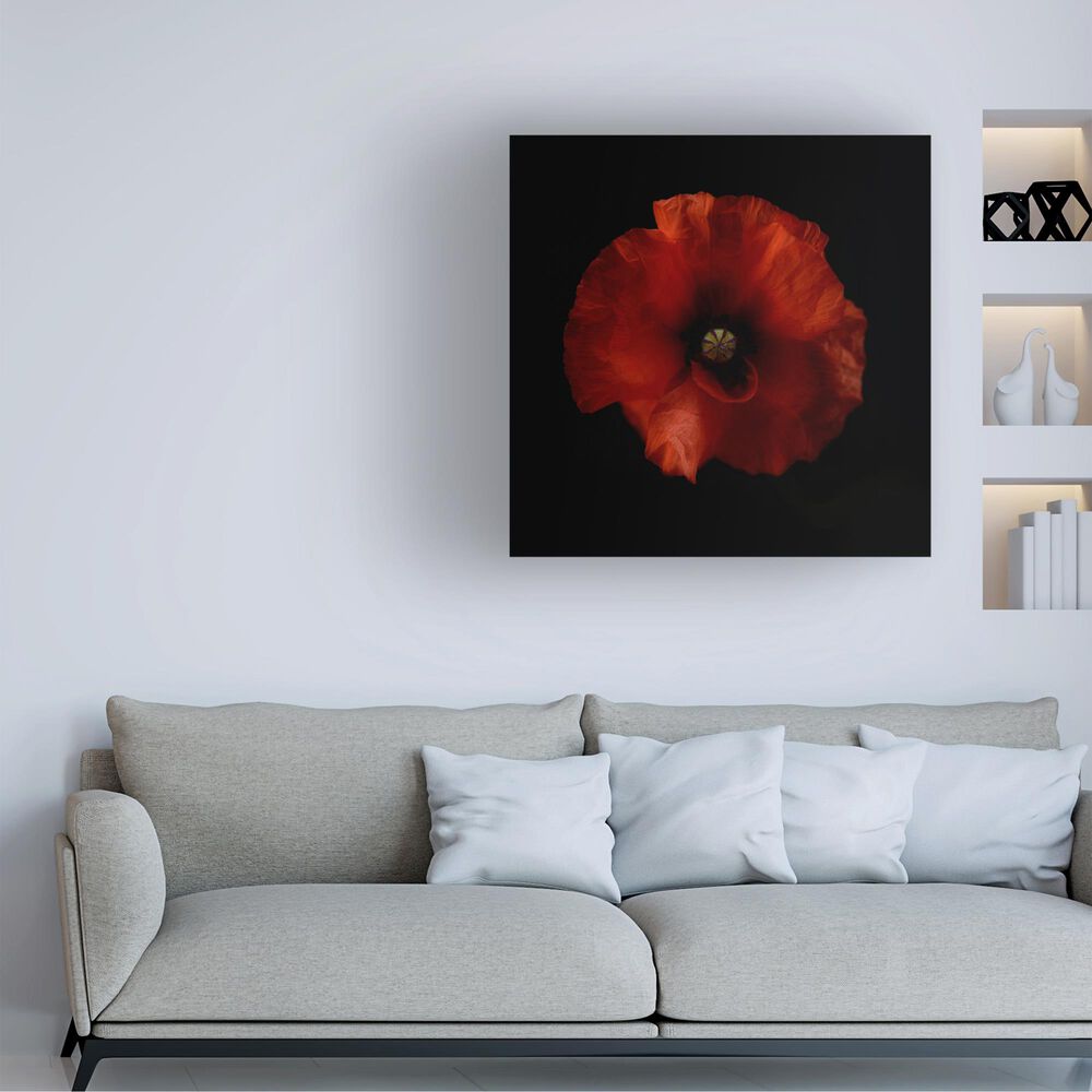 Timberlake Lotte Gronkjar 'One Fresh Poppy' 35" x 35" Canvas Art, , large