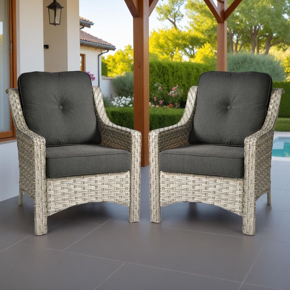 HOMLUX Outdoor Arm Chair in Black (Set of 2), , large