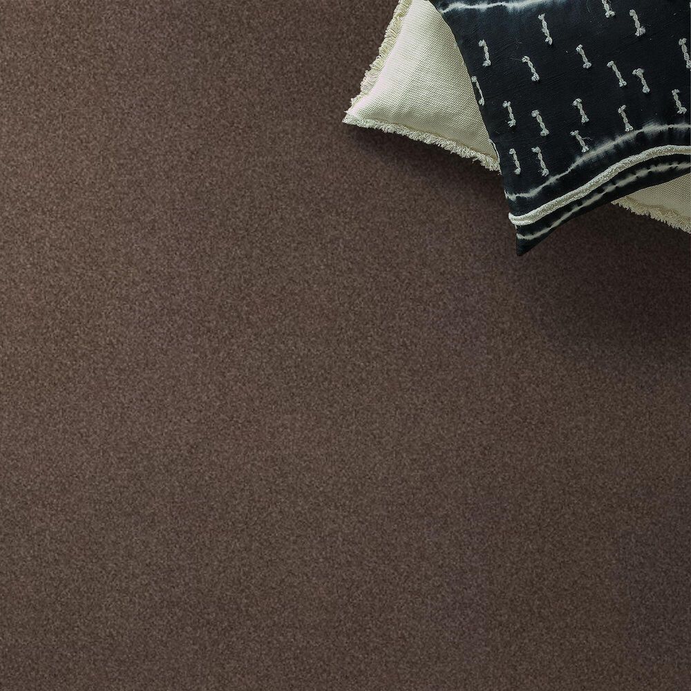 Anderson Tuftex Barracan Classic III Carpet in Spring Wood, , large