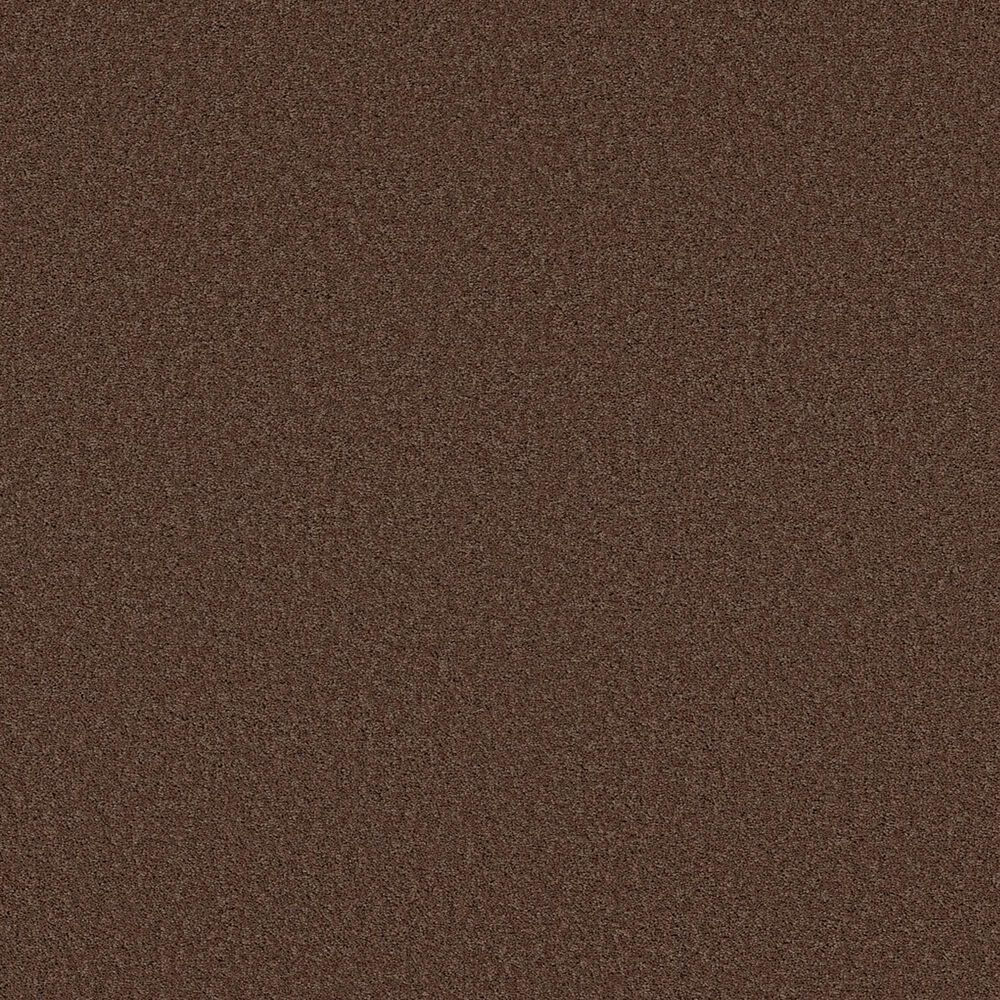 Shaw Las Cruces Carpet in Wood Grain, , large