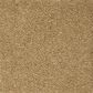 Mohawk Pleasant Touch Carpet in Stonington Beige, , large