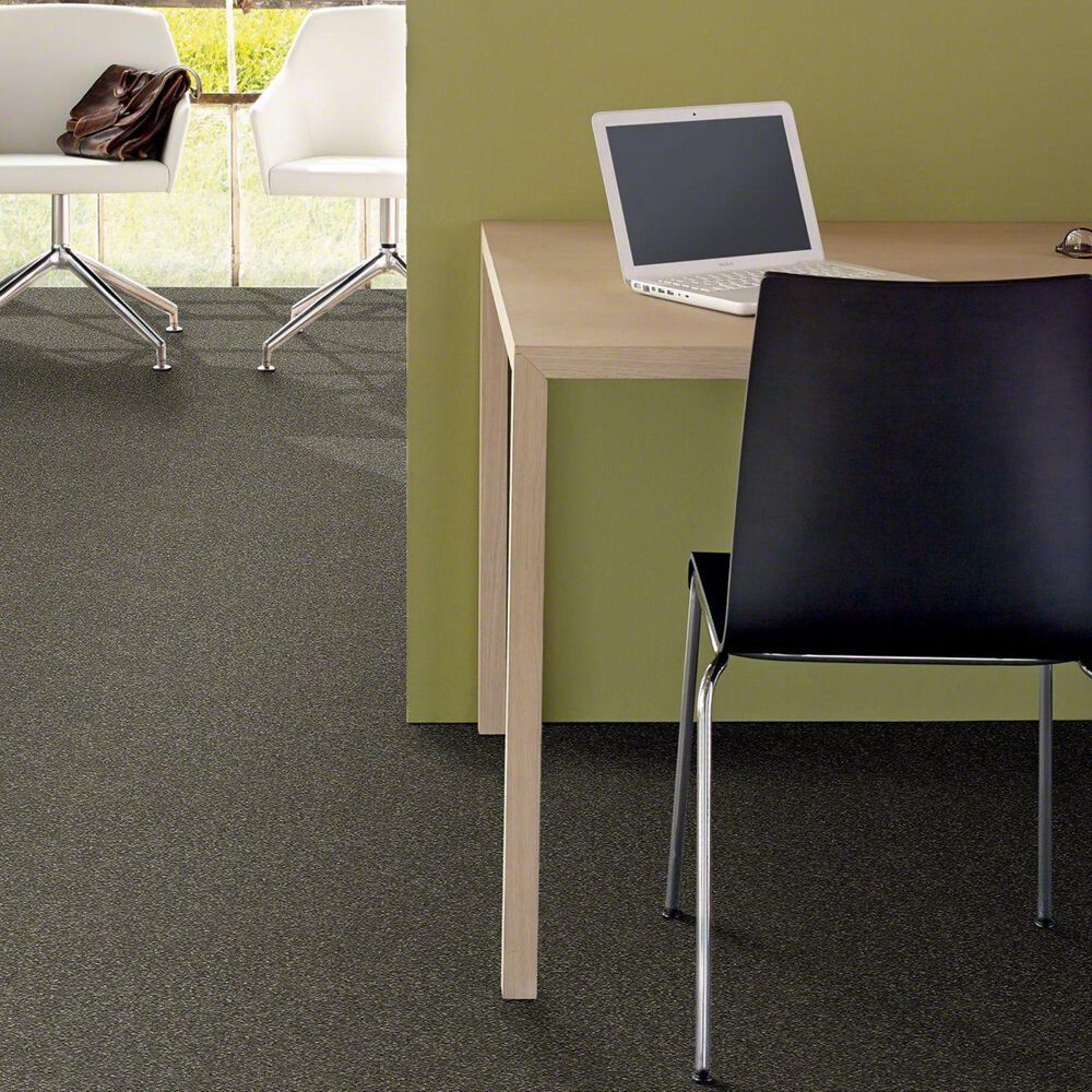 Shaw Basic Rules Carpet in Portobello, , large