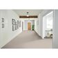Phenix Naples Carpet in Pristine Beach, , large