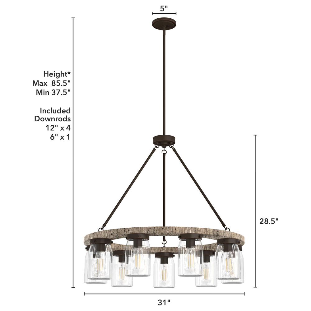 Hunter Devon Park 9-Light Chandelier in Onyx Bengal and Barnwood, , large