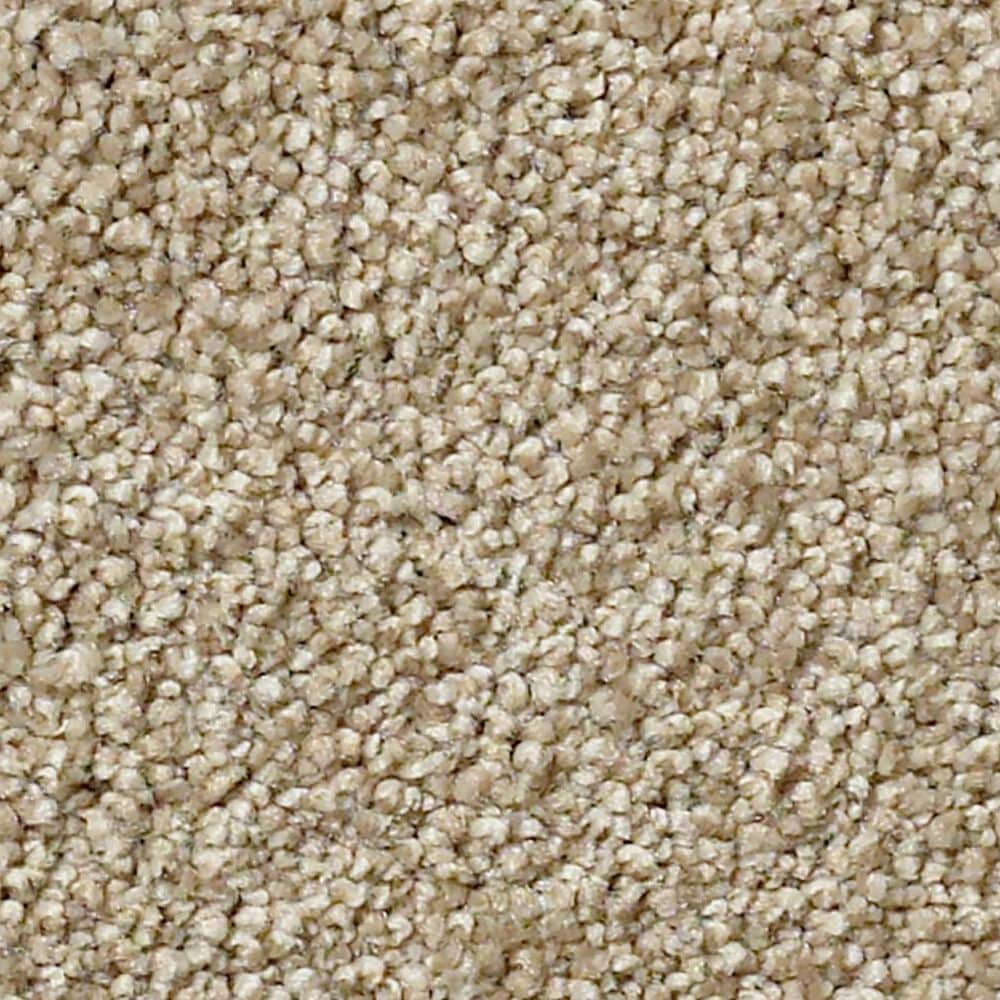 Shaw Find Your Comfort NS Blue Carpet in Honey Tea, , large