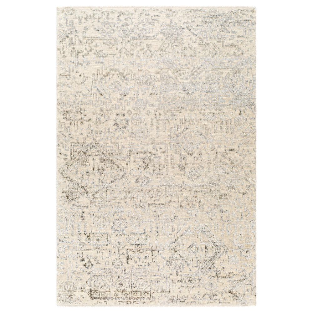 Surya Amina 2" x 3" Beige and Ivory Area Rug, , large