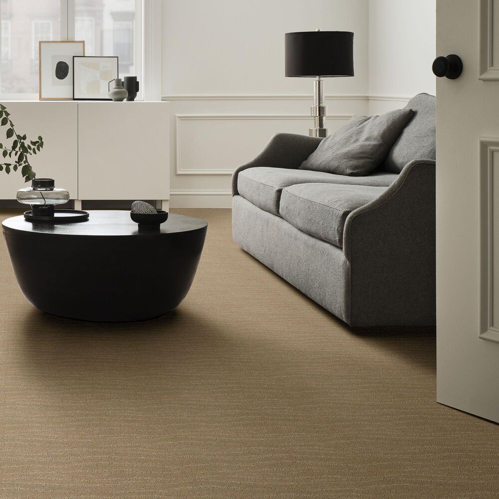 Anderson Tuftex Pose Carpet in Coronado, , large