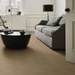 Anderson Tuftex Pose Carpet in Coronado, , large