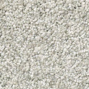 Shaw Tonal Comfort Ii Carpet in Refreshed, , large