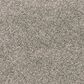 Mohawk Paw Pathway Carpet in Camel, , large