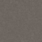 Shaw Without Limits II Carpet in Organic, , large