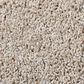 Shaw Foundations Take The Floor Twist II Carpet in Neutral Ground, , large